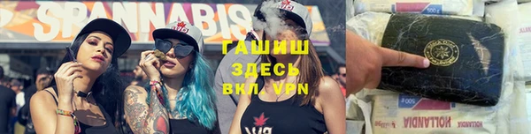 PSILOCYBIN Балабаново