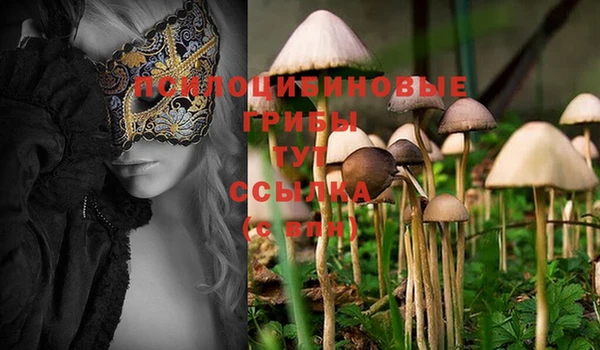 PSILOCYBIN Балабаново