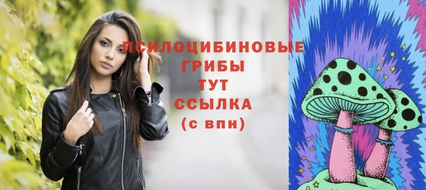PSILOCYBIN Балабаново