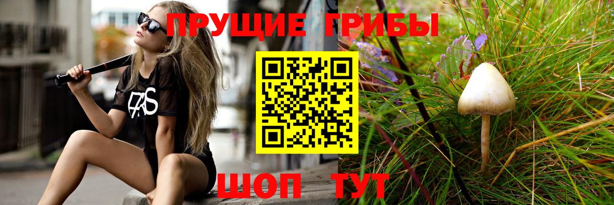 Псилоцибиновые грибы Magic Shrooms Кушва